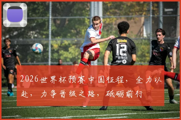 2026世界杯预赛中国征程，全力以赴，力争晋级之路，砥砺前行