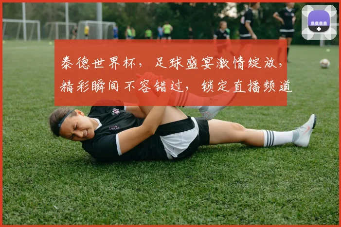 泰德世界杯，足球盛宴激情绽放，精彩瞬间不容错过，锁定直播频道