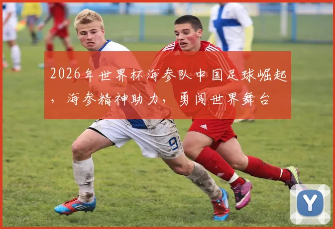 2026年世界杯海参队中国足球崛起，海参精神助力，勇闯世界舞台