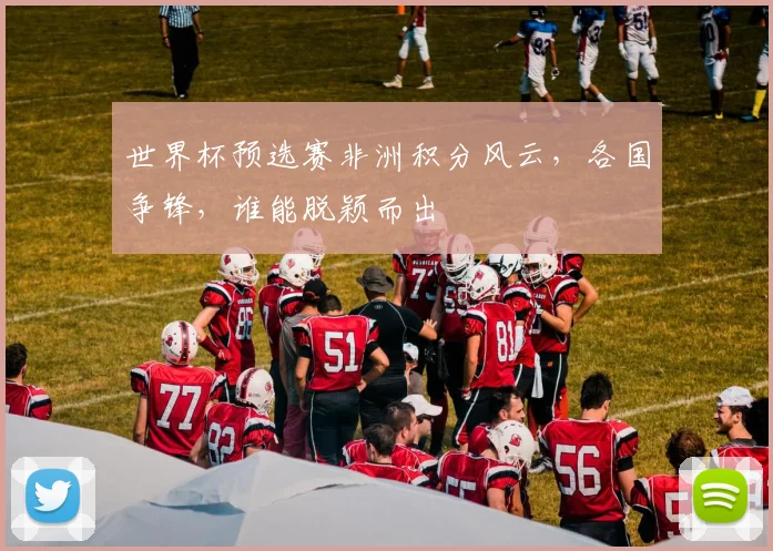 世界杯预选赛非洲积分风云，各国争锋，谁能脱颖而出